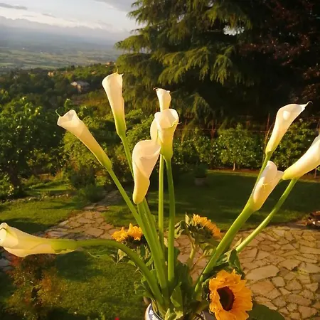 Family House Castagneto Po
